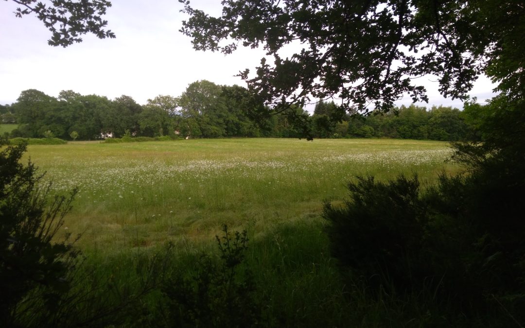 Lotissement « Le Hameau d’Imbourdeix »